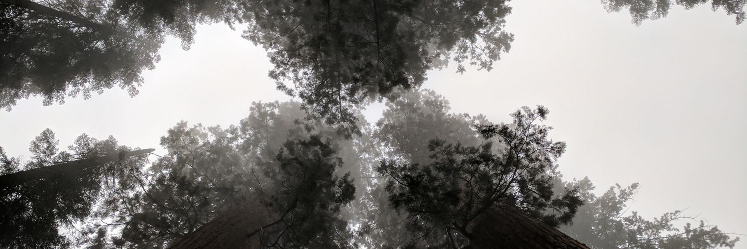 filiperp's profile banner image