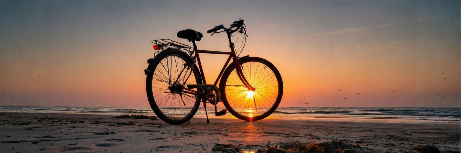 Natalia Goloskokova banner