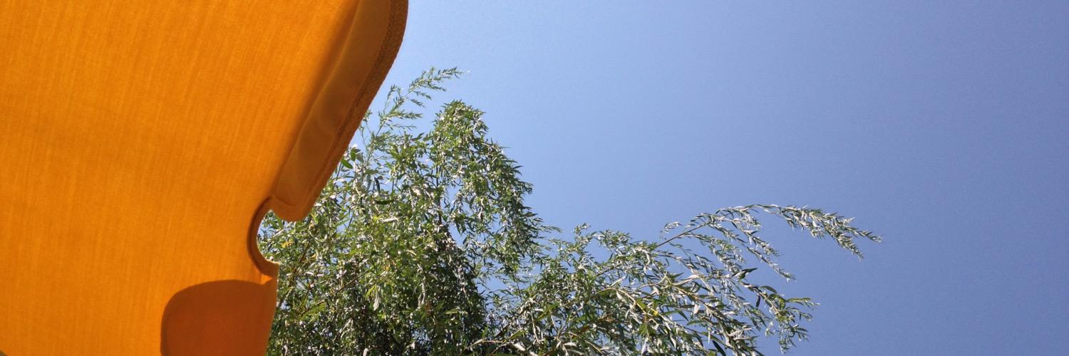 Beo's profile banner image