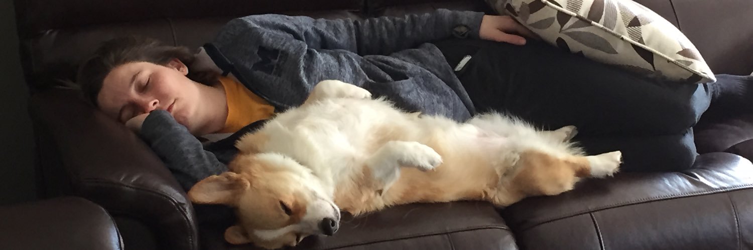 bertnernie2's profile banner image
