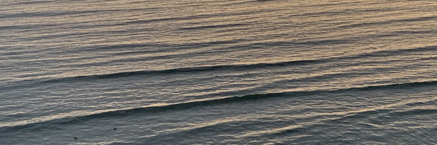pedces's profile banner image
