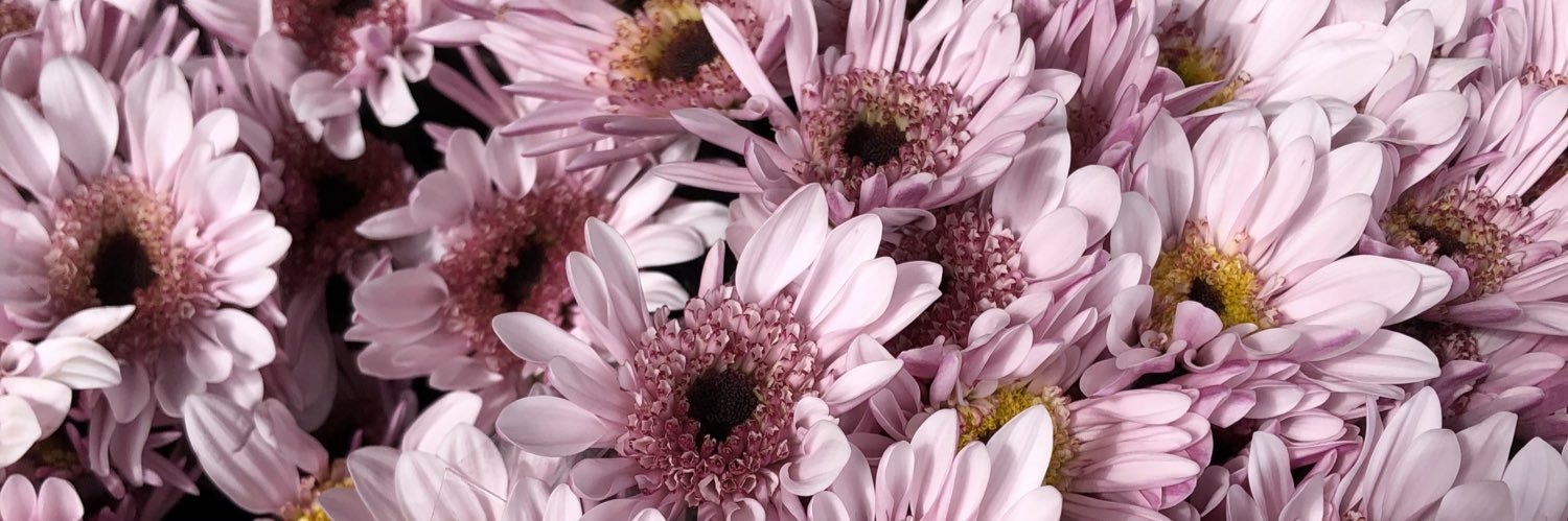 V banner