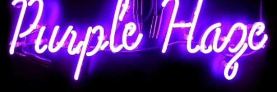 Cupid_Longway's profile banner image