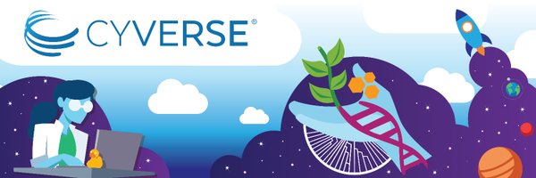 CyVerseOrg Profile Banner
