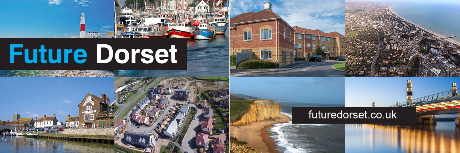 Future Dorset banner