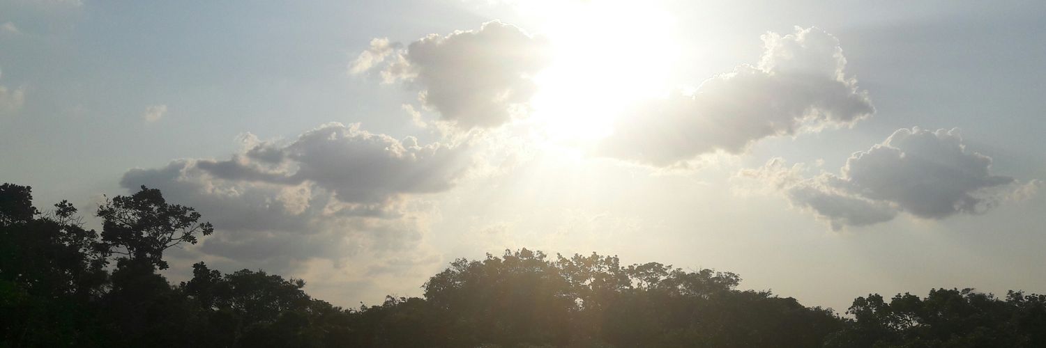 andre_caldas's profile banner image