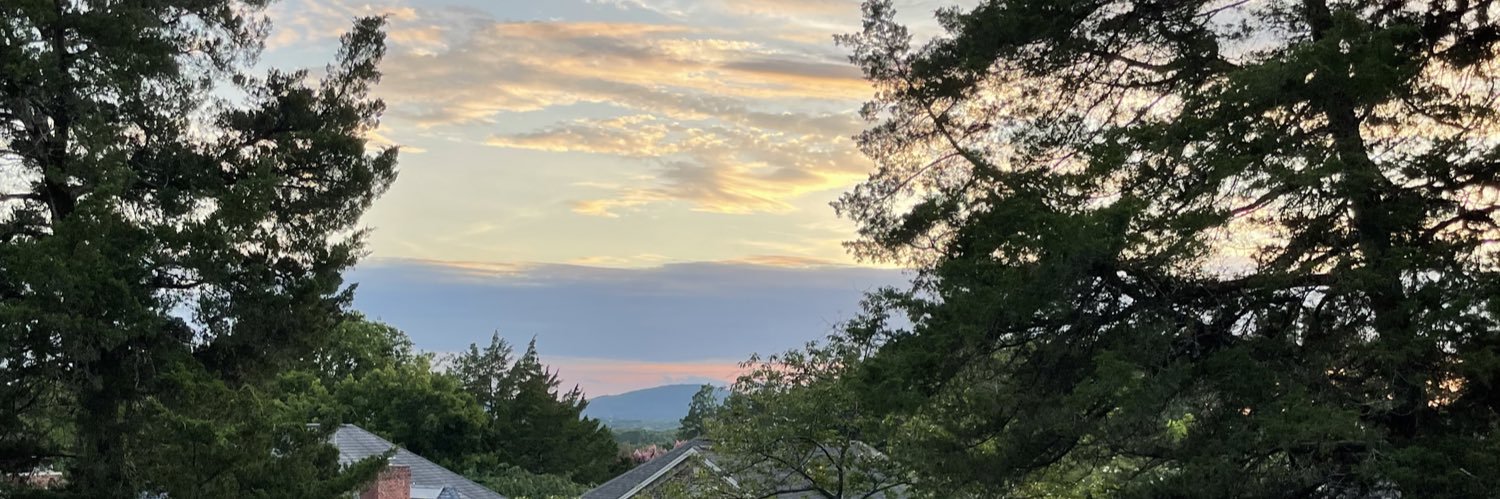 JanIHarris's profile banner image