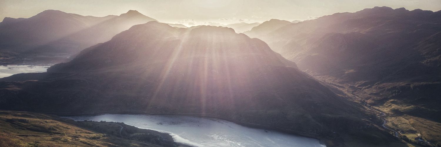 M Rees banner