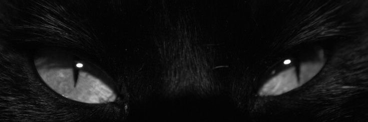 ticklemetifff's profile banner image