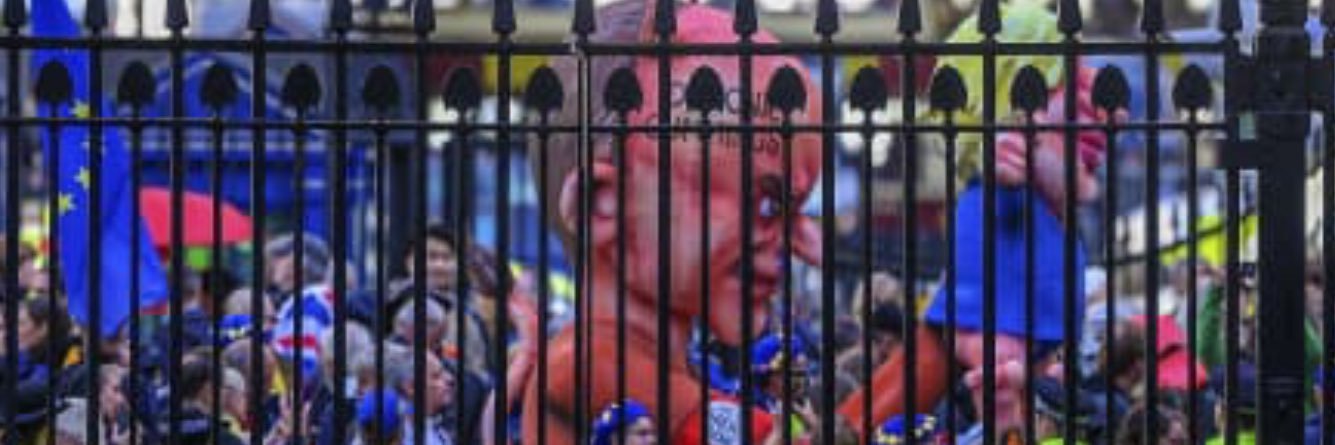 Richard Steeden 🇺🇦 banner