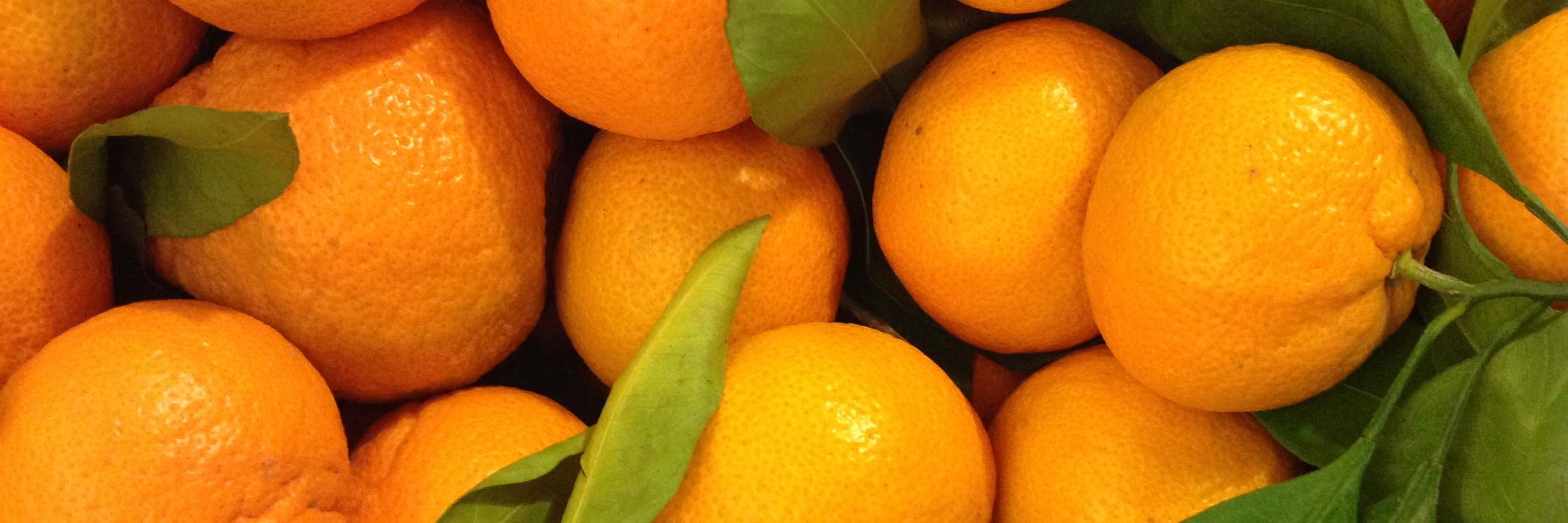 ProduceExchange's profile banner image