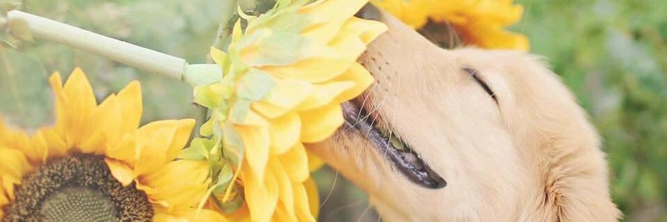 _zOryb4th_'s profile banner image