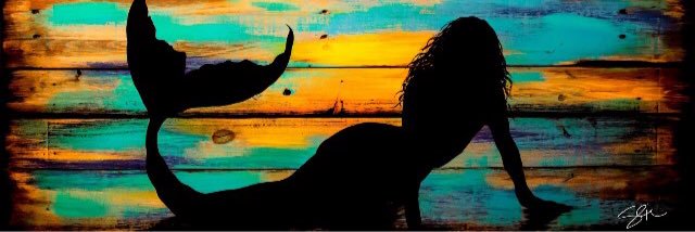 MelissaZapp's profile banner image