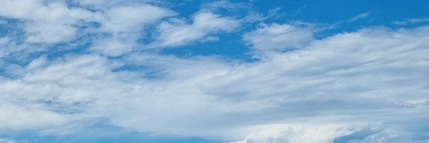 leunardoss's profile banner image