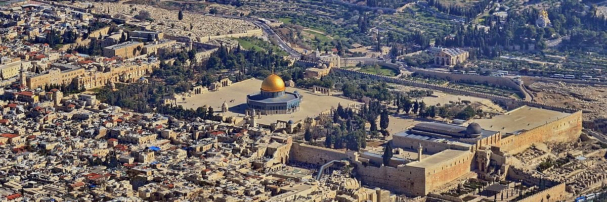 عبد العفوّ بسّام | فلسطين 🇵🇸 banner