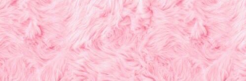 ShanPatrish's profile banner image
