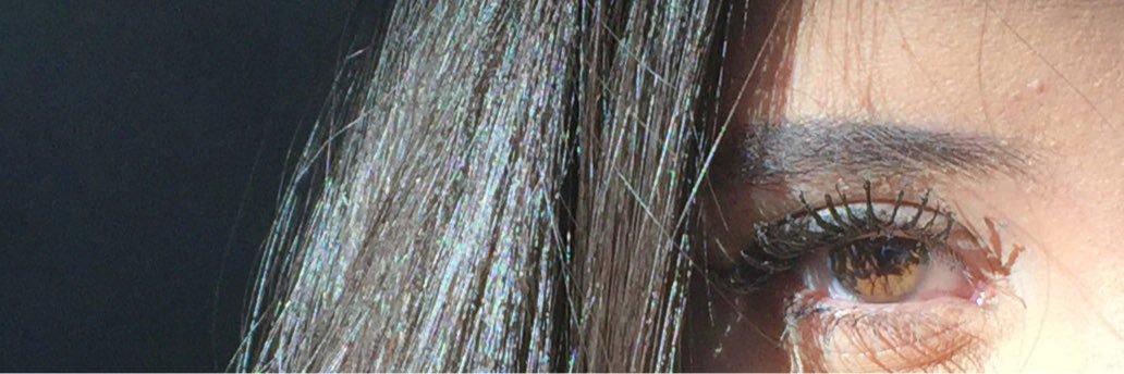 laisvenceslua's profile banner image