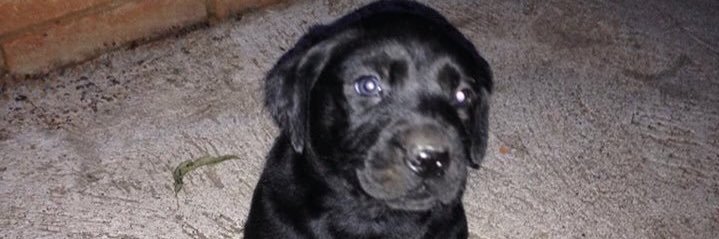 bobbyel's profile banner image