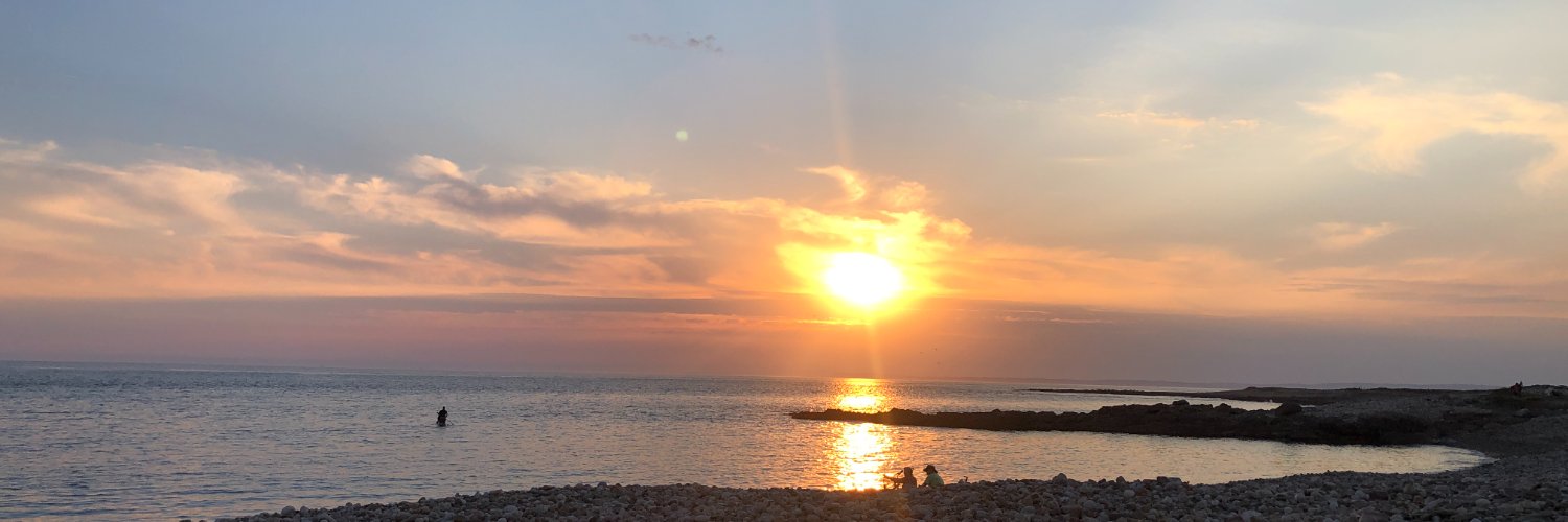 Hannah Victoria banner