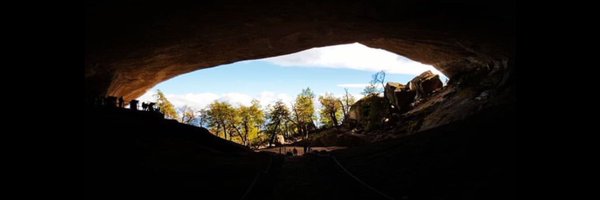 Cararanda Profile Banner