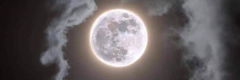 Elspeth the ghost banner