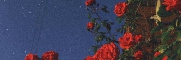 notzzai Profile Banner