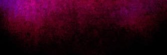 picotheeguyo's profile banner image