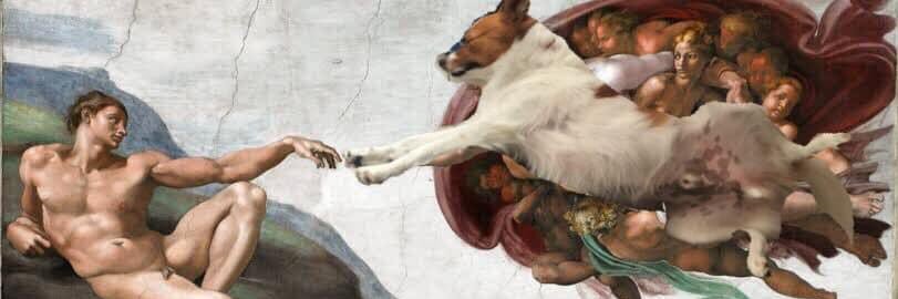 radamesmoura's profile banner image