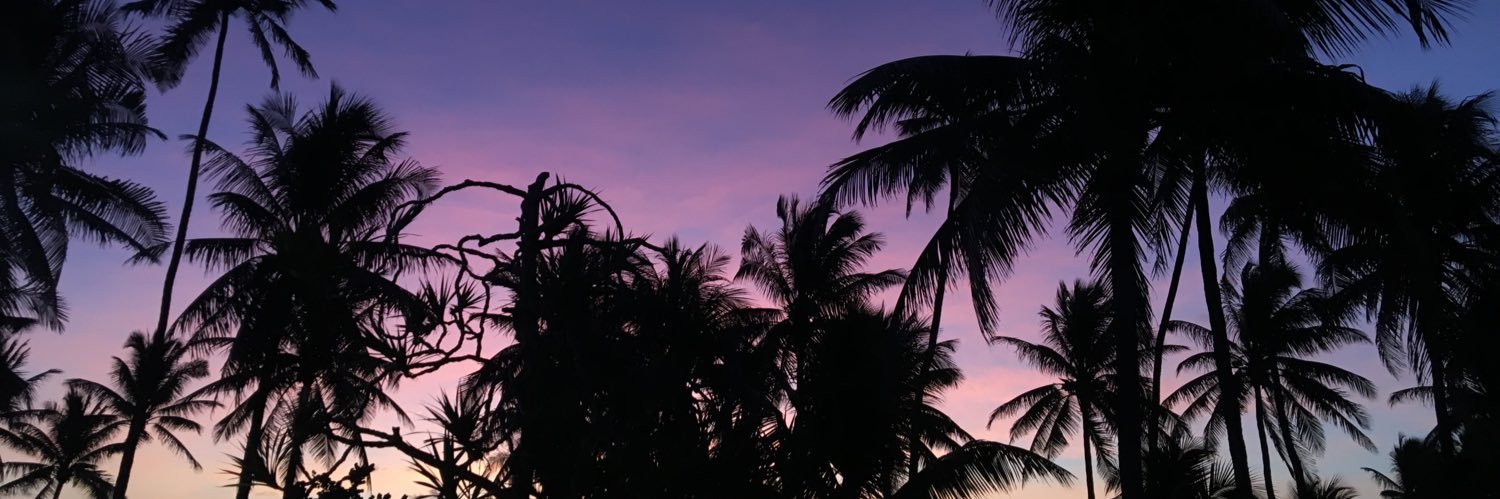 RebeeDiaz's profile banner image