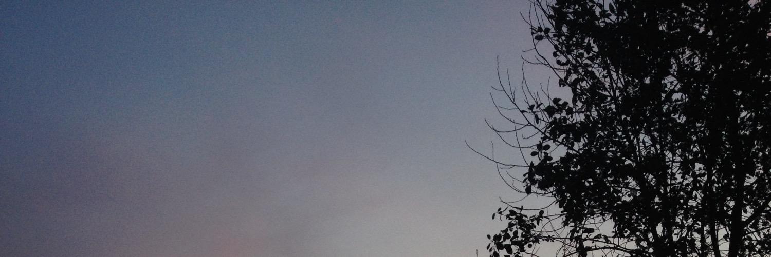 illuminariana's profile banner image