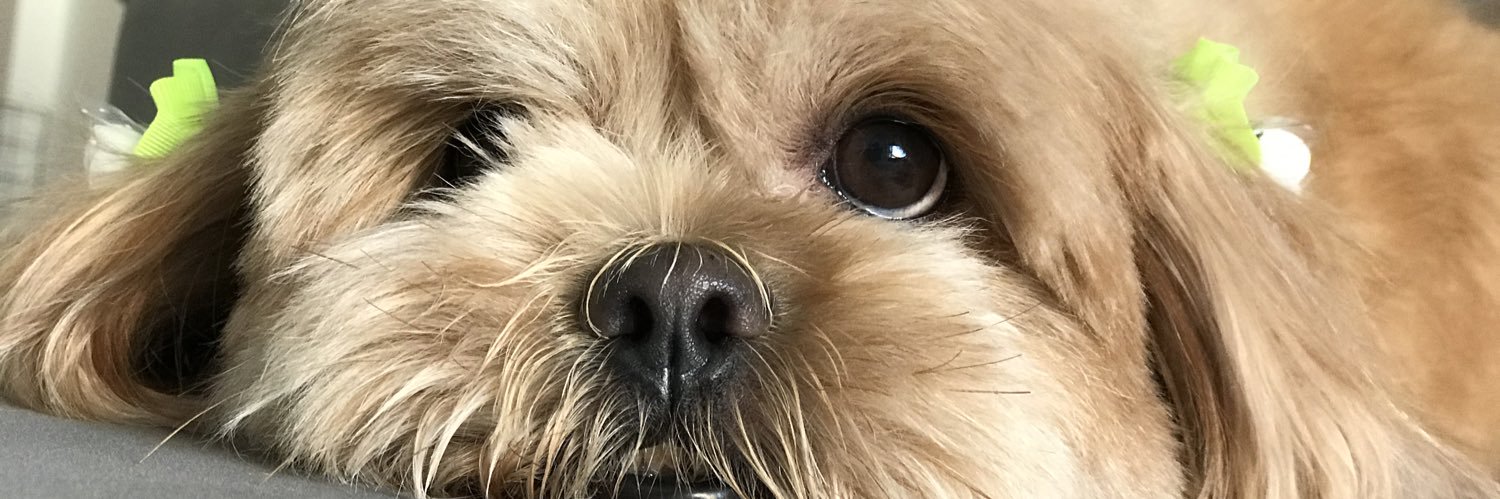 Jessicallouise's profile banner image