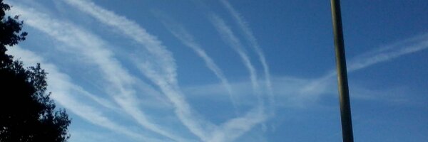 goodgirlshell Profile Banner