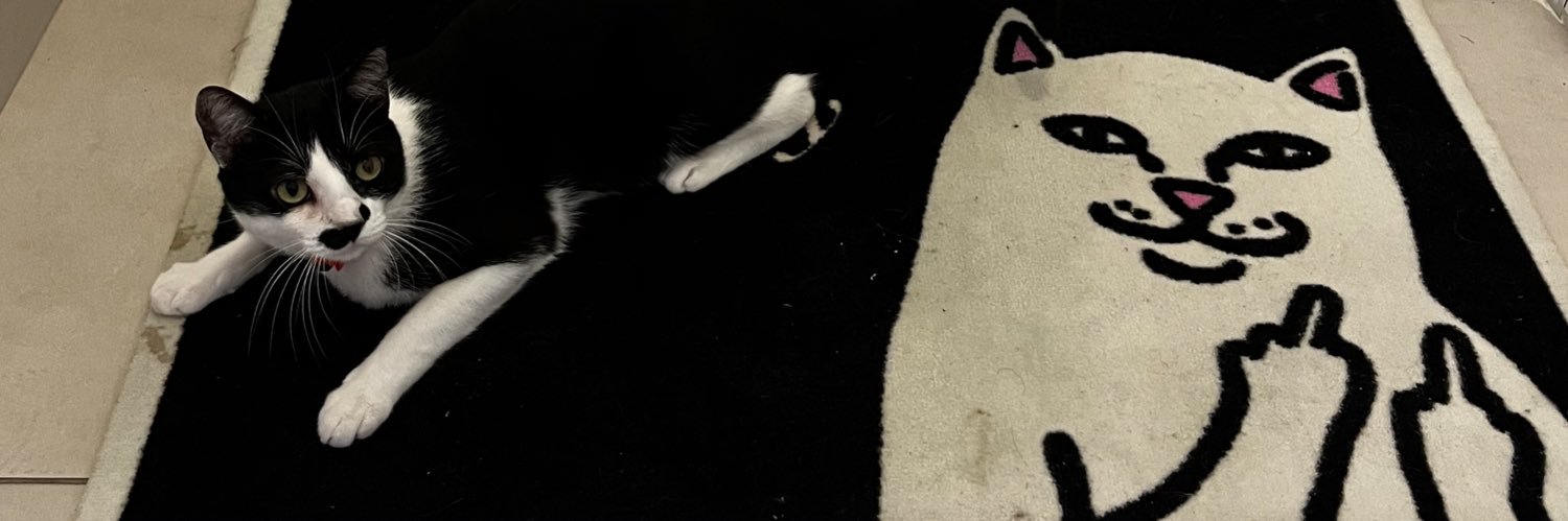 VINIClUX's profile banner image