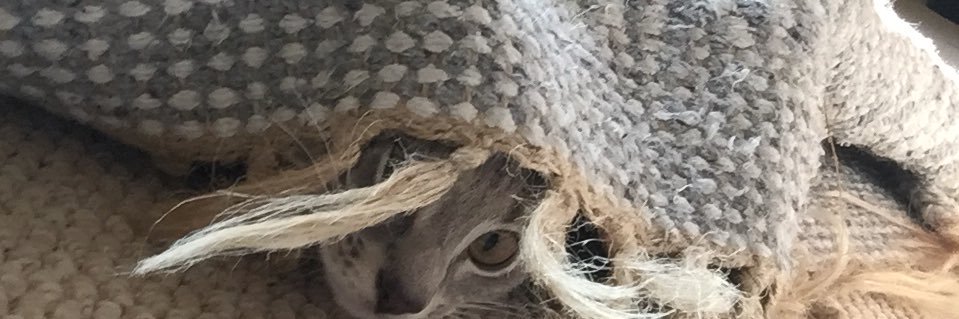 Josh_Stanley's profile banner image