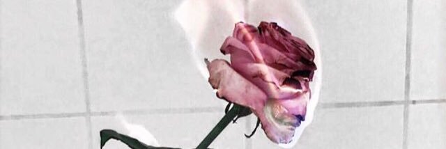 margoboland's profile banner image
