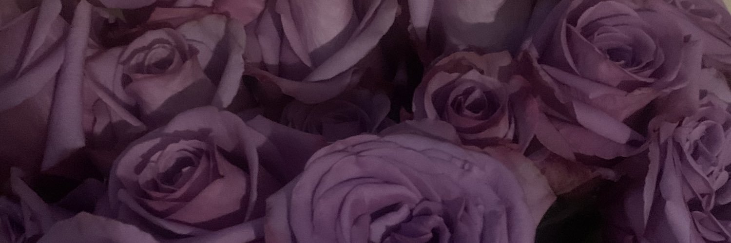 StarFya_'s profile banner image