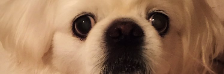 im4him4ever's profile banner image