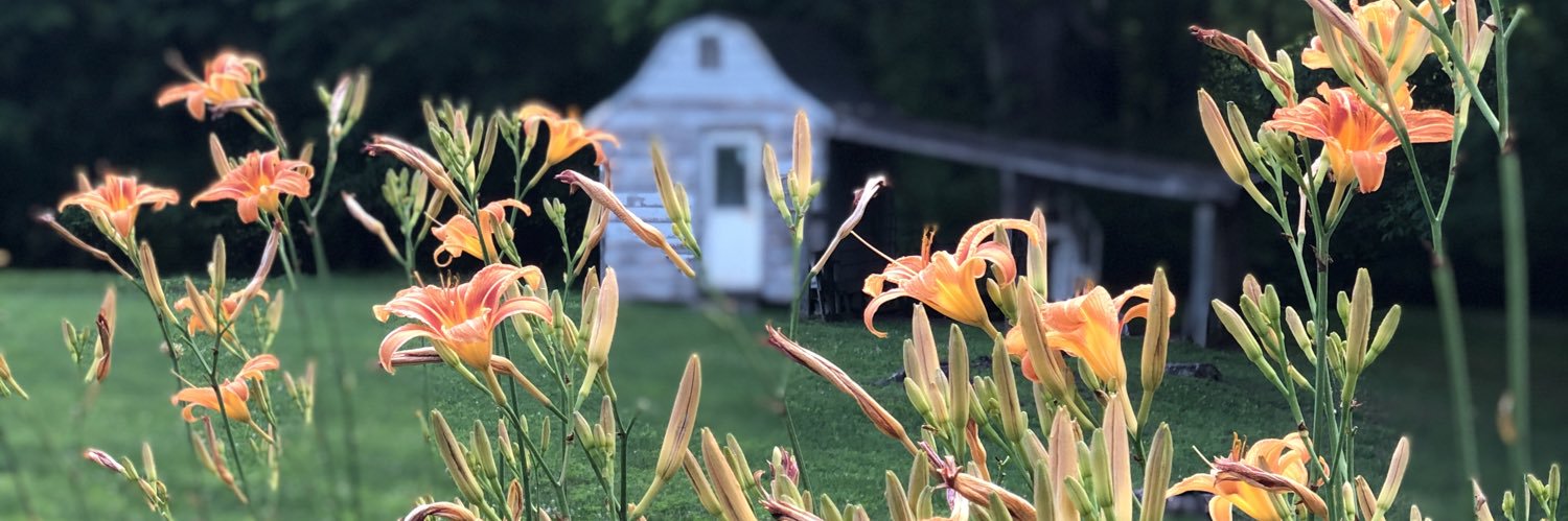 Susanne323's profile banner image