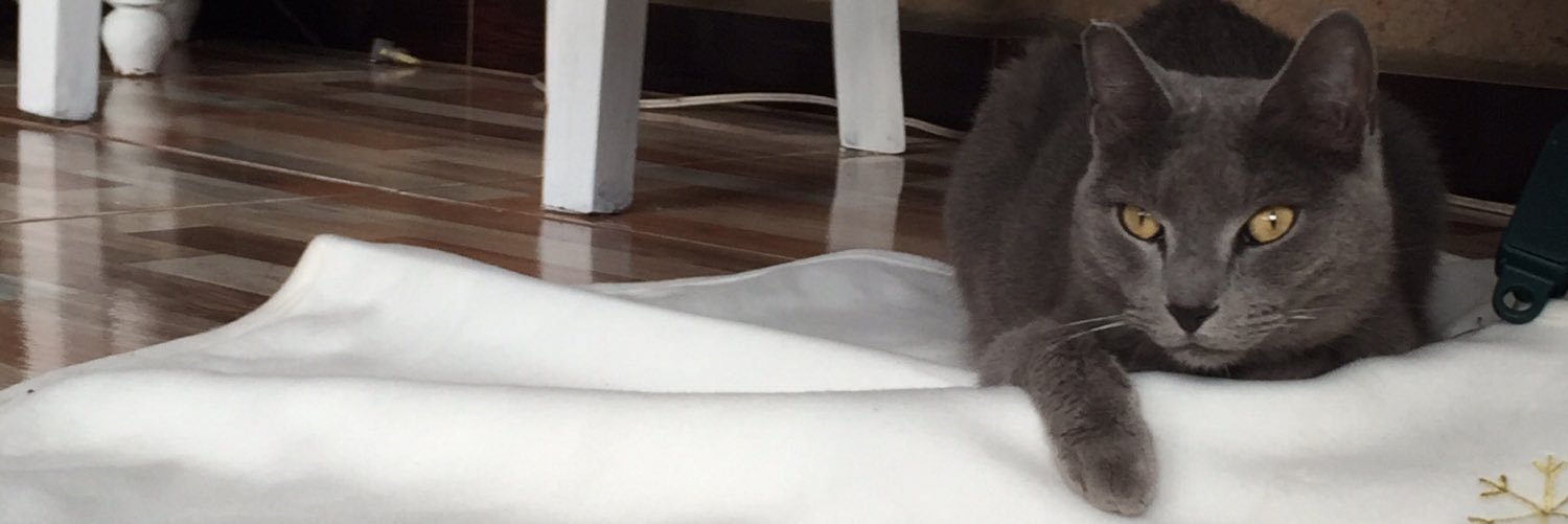 Laura Restrepo banner