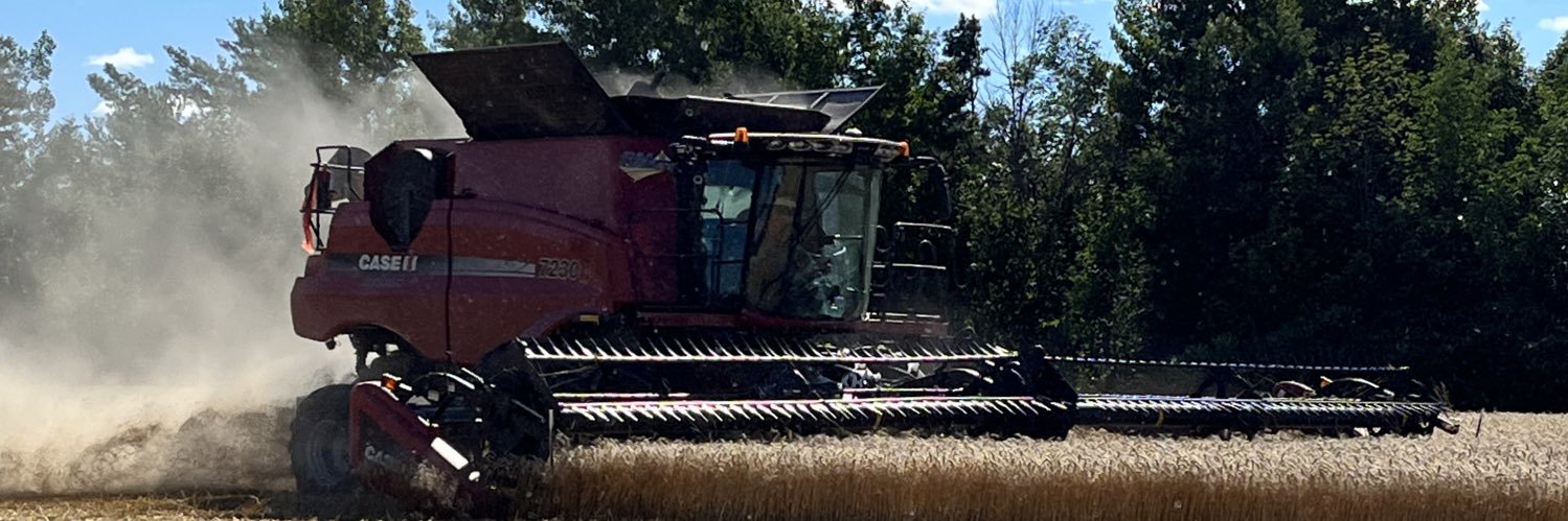 RMlang Maple MAGA 🍁 banner