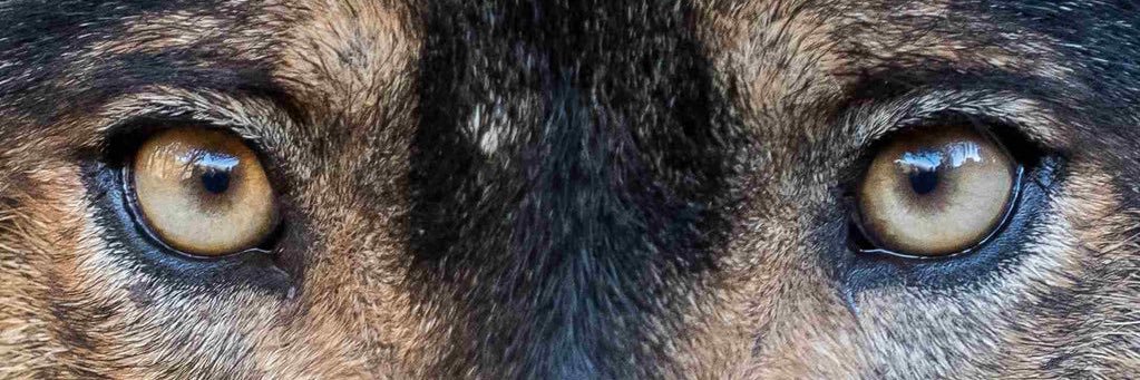 TavoMaxStomayor's profile banner image