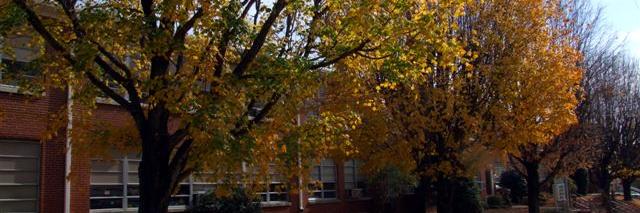 Anderson Elementary banner