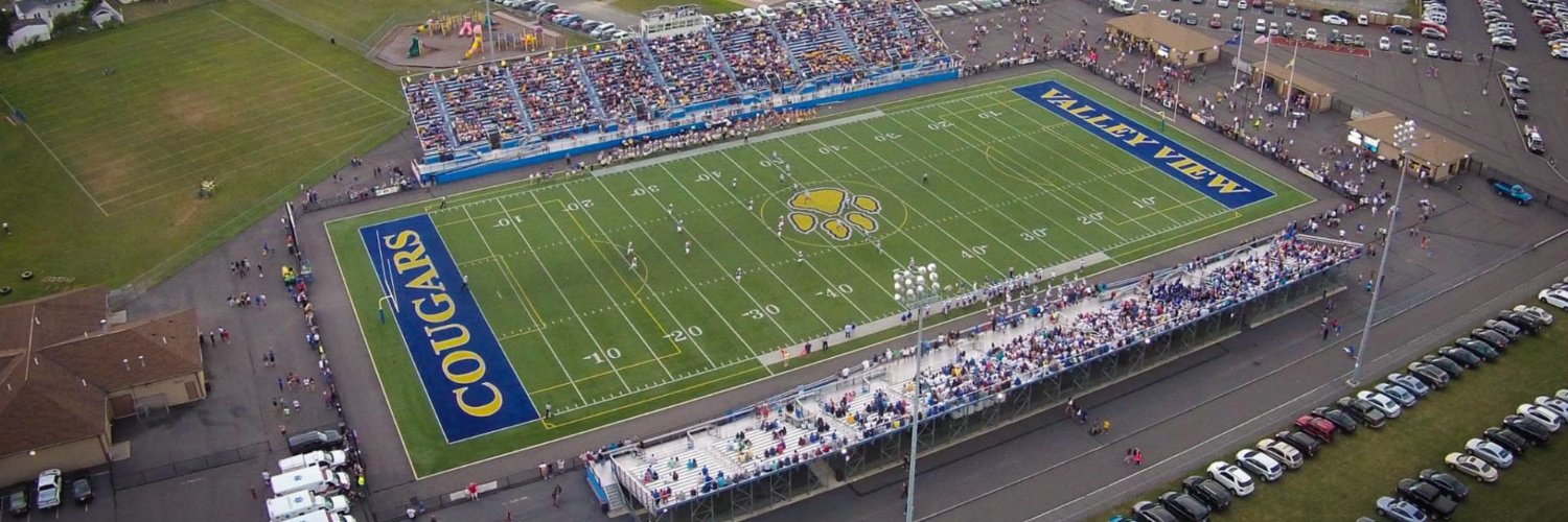 Valley View Cougars banner
