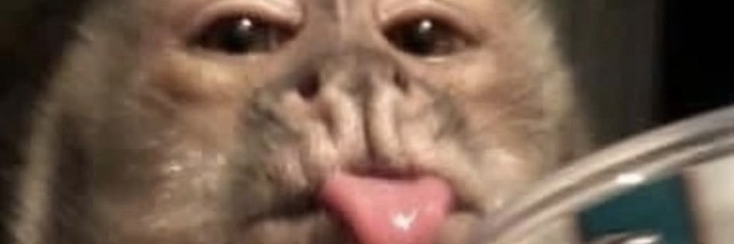 MaKBee3's profile banner image