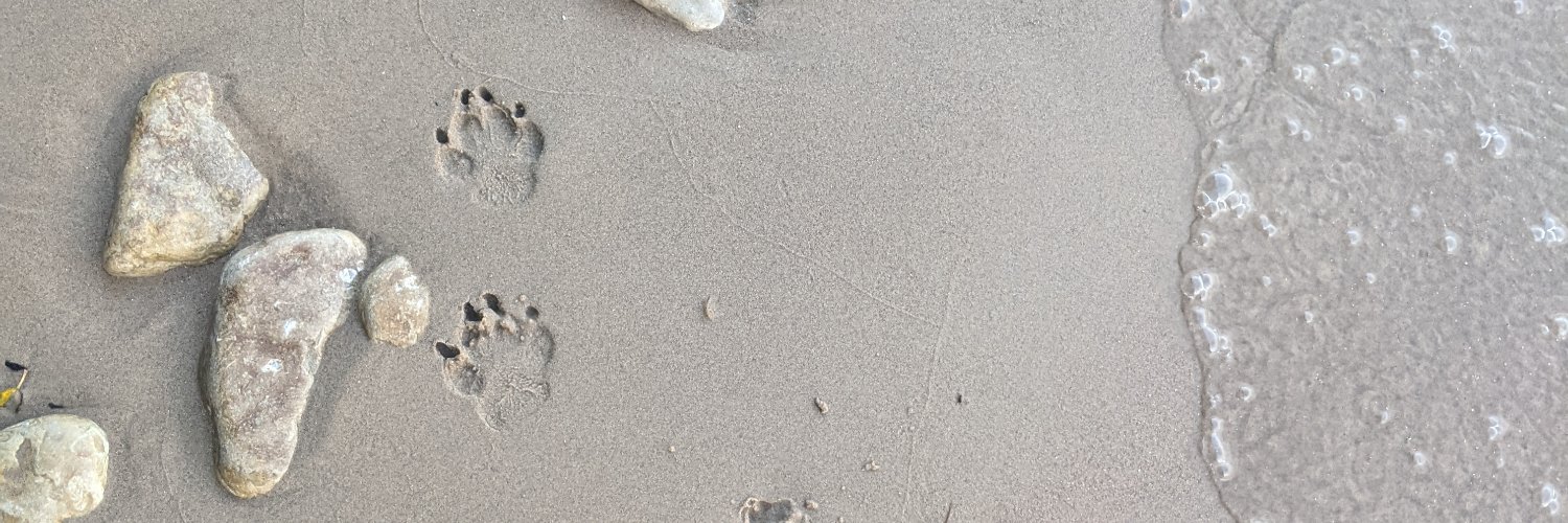 fackshat's profile banner image