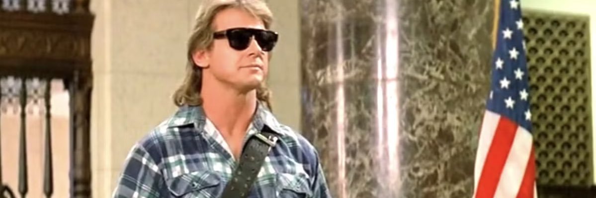 Politics and Bubble Gum banner