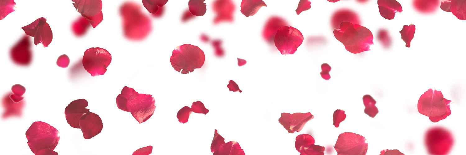 Bachelor Nation Casting banner