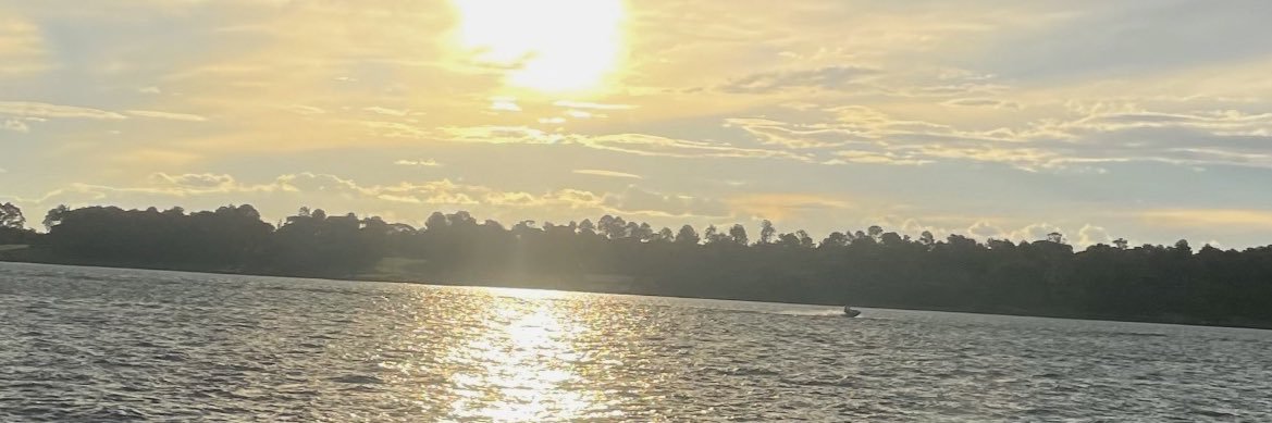 lcoelho29's profile banner image