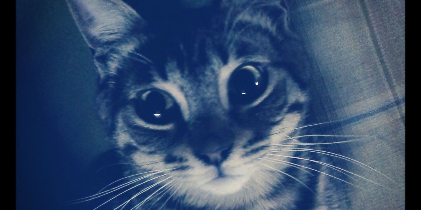 FernandaGaray's profile banner image