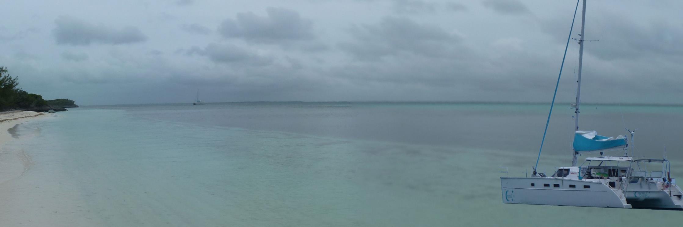 RickyMichod's profile banner image